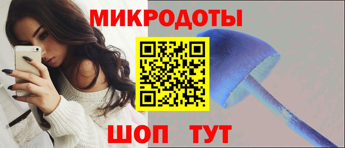 Псилоцибиновые грибы Cubensis  Галлюциногенные грибы Magic Shrooms  Клинцы  Вход с VPN 